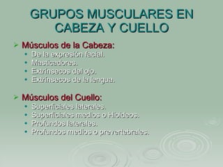 GRUPOS MUSCULARES EN CABEZA Y CUELLO <ul><li>Músculos de la Cabeza: </li></ul><ul><ul><li>De la expresión facial. </li></u...