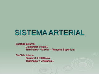 SISTEMA ARTERIAL Carótida Externa: Colaterales (Facial). Terminales    Maxilar – Temporal Superficial. Carótida Interna: ...