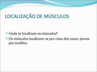 LOCALIZAÇÃO DE MÚSCULOS Onde se localizam os músculos ? Os músculos localizam–se por cima dos ossos, presos por tendões. 