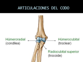 ARTICULACIONES DEL CODO
 