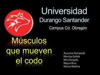 Universidad
Durango Santander
Campus Cd. Obregón
Músculos
que mueven
el codo
Azucena Sempoalt
Maritza Salido
Mirx Quijada
Mayra Ruiz
Marco Medina
 