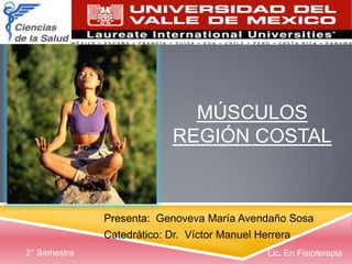 Músculos Región costal Presenta:  Genoveva María Avendaño Sosa Catedrático: Dr.  Víctor Manuel Herrera 2° Semestre Lic. En Fisioterapia 