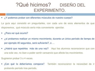 ?Qué hicimos? DISEÑO DEL 
EXPERIMENTO. 
 ¿Y podemos probar con diferentes músculos de nuestro cuerpo? 
La guía aquí consistió en preguntarles, con cada uno de esos elementos de que 
disponemos, qué músculo sería más conveniente ejercitar. 
 ¿Para ver qué ocurre? 
 ¿si probamos realizar un mismo movimiento, durante un único período de tiempo de 
por ejemplo 40 segundos, será suficiente?, o … 
 ¿Habrá que repetirlos más de una vez? Aquí los alumnos reconocieron que con 
una sola vez, no iban a poder sentir cansancio que afecte los movimientos. 
Sugirieron probar 3 o 4 veces. 
 ¿Con qué lo deberíamos comparar? También reconocieron la necesidad de ir 
probando período tras período. 
 
