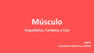 Músculo
Esquelético, Cardiaco y Liso
MEPF
Facultad de Medicina UNAM
 