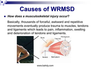 Causes of WRMSD
 How does a musculoskeletal injury occur?
Basically, thousands of forceful, awkward and repetitive
movements eventually produce trauma to muscles, tendons
and ligaments which leads to pain, inflammation, swelling
and deterioration of tendons and ligaments.
www.bahdy.com
 