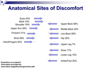 Anatomical Sites of Discomfort
Eyes 45%
Neck 74%
Shoulder 76% Upper Back 58%
Upper Arm 38% Middle Back 33%
Low Back 58%
Hip 25%
Forearm 31%
Wrist 59%
Hand/Fingers 55%
Upper Leg 7%
Knee 17%
Lower Leg 12%
Ankle/Foot 20%
Illustration re-created &
information provided by:
www.sdms.org/pdf/sonoergonomics.pdf
 