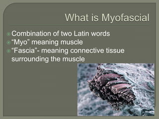 Combination of two Latin words
“Myo” meaning muscle
“Fascia”- meaning connective tissue
surrounding the muscle
 