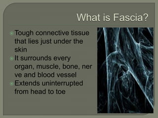 Tough connective tissue
that lies just under the
skin
It surrounds every
organ, muscle, bone, ner
ve and blood vessel
Extends uninterrupted
from head to toe
 