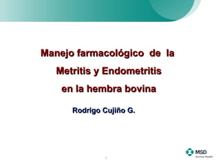 Manejo farmacológico  de  la  Metritis y Endometritis  en la hembra bovina  Rodrigo Cujiño G.  