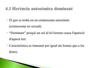  El

gen es troba en un cromosoma autosòmic

(cromosoma no sexual).
 “Dominant”

perquè un sol al·lel heretat causa l'aparició

d'aquest tret.
 Característica

dones.

es transmet per igual als homes que a les

 