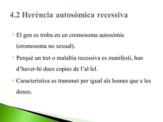  El

gen es troba en un cromosoma autosòmic

(cromosoma no sexual).
 Perquè

un tret o malaltia recessiva es manifesti, han

d’haver-hi dues copies de l’al·lel.
 Característica

dones.

es transmet per igual als homes que a les

 