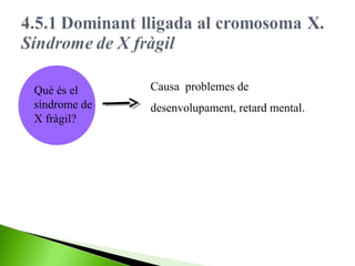 Què és el
síndrome de
X fràgil?

Causa problemes de
desenvolupament, retard mental.

 