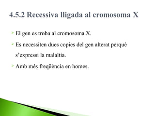  El

gen es troba al cromosoma X.

 Es

necessiten dues copies del gen alterat perquè

s’expressi la malaltia.
 Amb

més freqüència en homes.

 