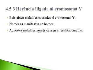  Existeixen
 Només

malalties causades al cromosoma Y.

es manifesten en homes.

 Aquestes

malalties només causen infertilitat curable.

 