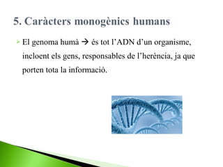  El

genoma humà  és tot l’ADN d’un organisme,

incloent els gens, responsables de l’herència, ja que
porten tota la informació.

 