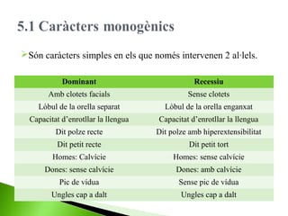 Són caràcters simples en els que només intervenen 2 al·lels.
Dominant

Recessiu

Amb clotets facials

Sense clotets

Lòbul de la orella separat

Lòbul de la orella enganxat

Capacitat d’enrotllar la llengua

Capacitat d’enrotllar la llengua

Dit polze recte

Dit polze amb hiperextensibilitat

Dit petit recte

Dit petit tort

Homes: Calvície

Homes: sense calvície

Dones: sense calvície

Dones: amb calvície

Pic de vídua

Sense pic de vídua

Ungles cap a dalt

Ungles cap a dalt

 