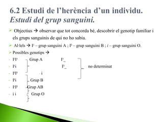  Objectius  observar que tot concorda bé, descobrir el genotip familiar i
els grups sanguinis de qui no ho sabia.
 Al·lels  IA – grup sanguini A ; IB – grup sanguini B ; i – grup sanguini O.
 Possibles genotips 
- IAIA

Grup A

- IAi
- IBIB

I B_
_

i

- I Bi

Grup B

- IAIB

Grup AB

- ii

IA_

Grup O

no determinat

 