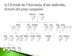 Mariano

Isabel

ii

IAi

Maria
IAi

_i
Jose

Cris

_i

IAi

IA_

IAi

Javi Loly Noelia
ii

Lucia Marc Alex
IA_

Pac
o

ii

IAi

Leo

ii

ii

Angeles

Anabel Marta
IA_

IA_

Javi

IAi

IAi

Loly

IB_

Daniela
IAIB

Juan Asun
ii

IA_

__

Jon Melania
IAi

IA_

 