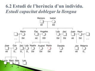 Mariano

Isabel

dd

Dd

Maria
__
Jose

Cris

dd

D_

Lucia Marc Alex
_d

_d

_d

Pac
o

Angeles

Loly

Javi

Dd

dd

DD

Dd

Dd

Javi Loly Noelia
D_

D_

Leo

__

Dd

Anabel Marta
Dd

Dd

Daniela
dd

Juan Asun
dd

Dd

__

Jon Melania
dd

D_

 