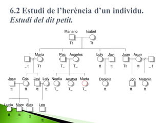 Mariano

Isabel

Tt

Tt

Maria

Jose

Cris

tt

tt

tt

Loly

Javi

T_

T_

tt

tt

Javi Loly Noelia
tt

Lucia Marc Alex
tt

Angeles

Tt

_t

Pac
o

tt

tt

Leo

tt

T_

Anabel Marta
T_

T_

Daniela
tt

Juan Asun
Tt

tt

_t

Jon Melania
tt

tt

 