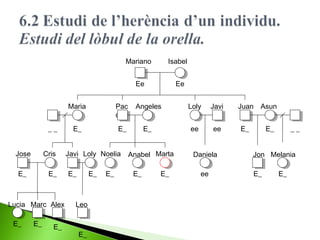 Mariano

Isabel

Ee

Ee

Maria
__
Jose

Cris

E_

E_

Lucia Marc Alex
E_

E_

E_

Pac
o

Angeles

Loly

Javi

E_

E_

E_

ee

ee

Javi Loly Noelia
E_

E_

Leo

E_

E_

Anabel Marta
E_

E_

Daniela
ee

Juan Asun
E_

E_

__

Jon Melania
E_

E_

 