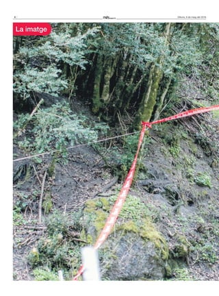 8 Dilluns, 9 de maig del 2016
La imatge
 