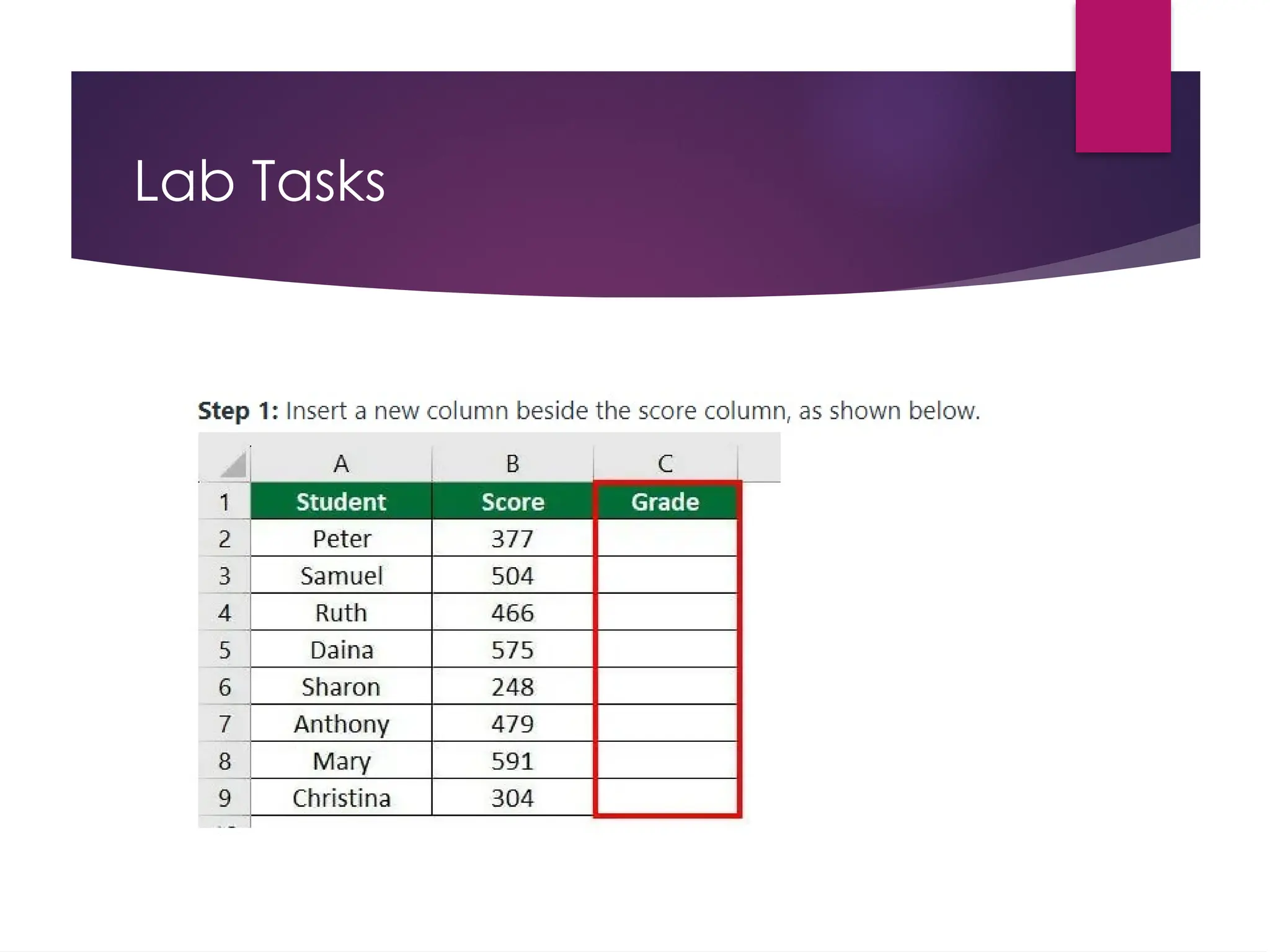 Lab Tasks
 