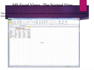 MS Excel Views -The Normal View
This is the default view. If you switch to another view and return to it, Excel displays page
breaks.
 