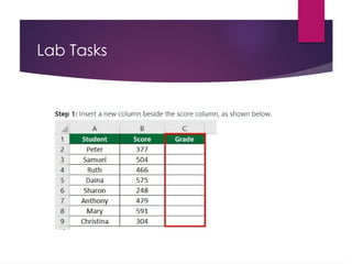 Lab Tasks
 