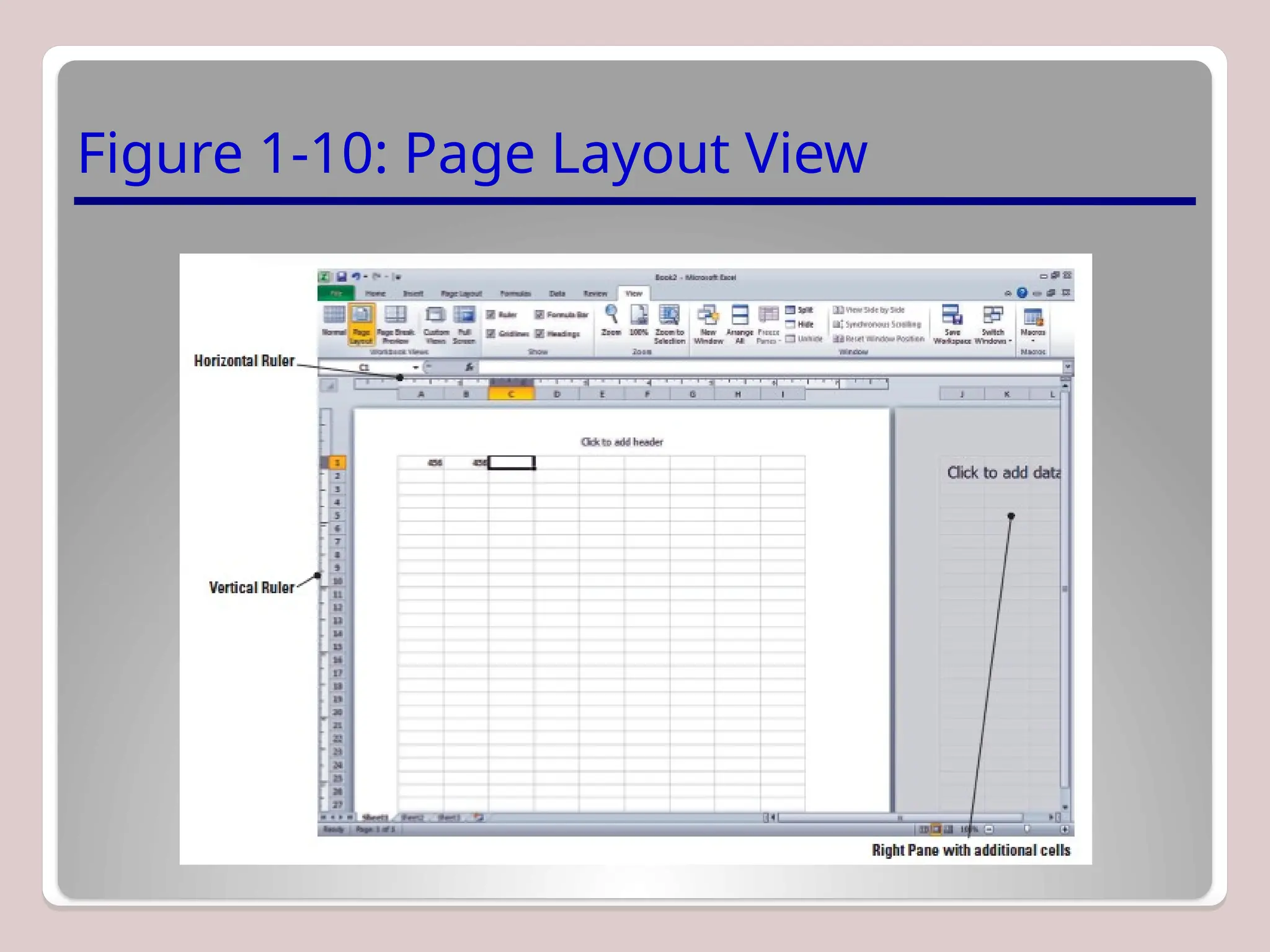 Figure 1-10: Page Layout View
 