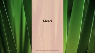 Merci
23/02/2023 Module: Culture et Techniques avancées du numérique 29
 