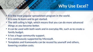 A detailed introduction of MS Excel is given in short | PPTX