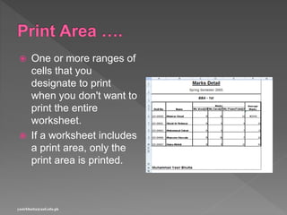 MS Excel - Charts | PPTX