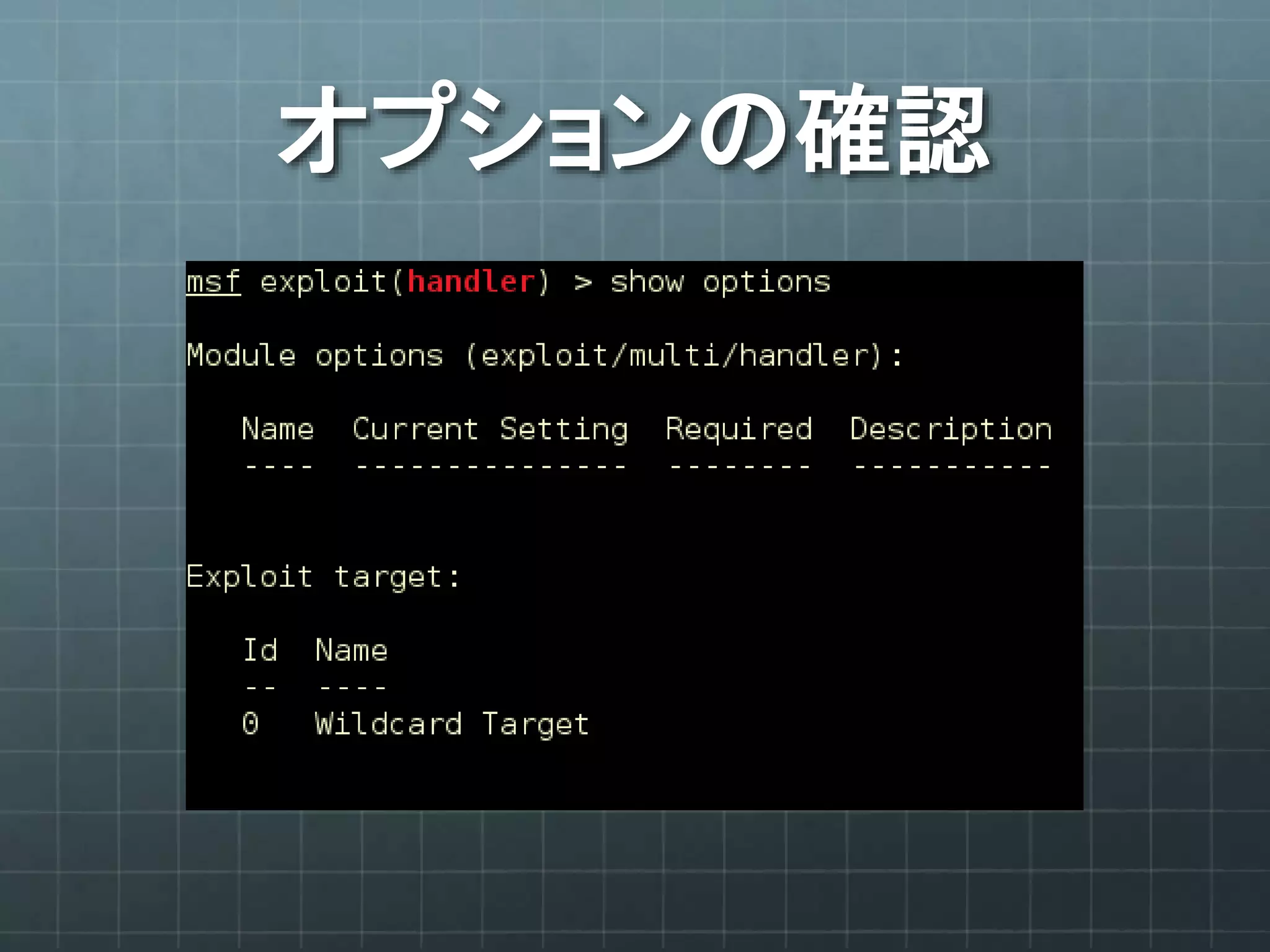 オプションの確認
 