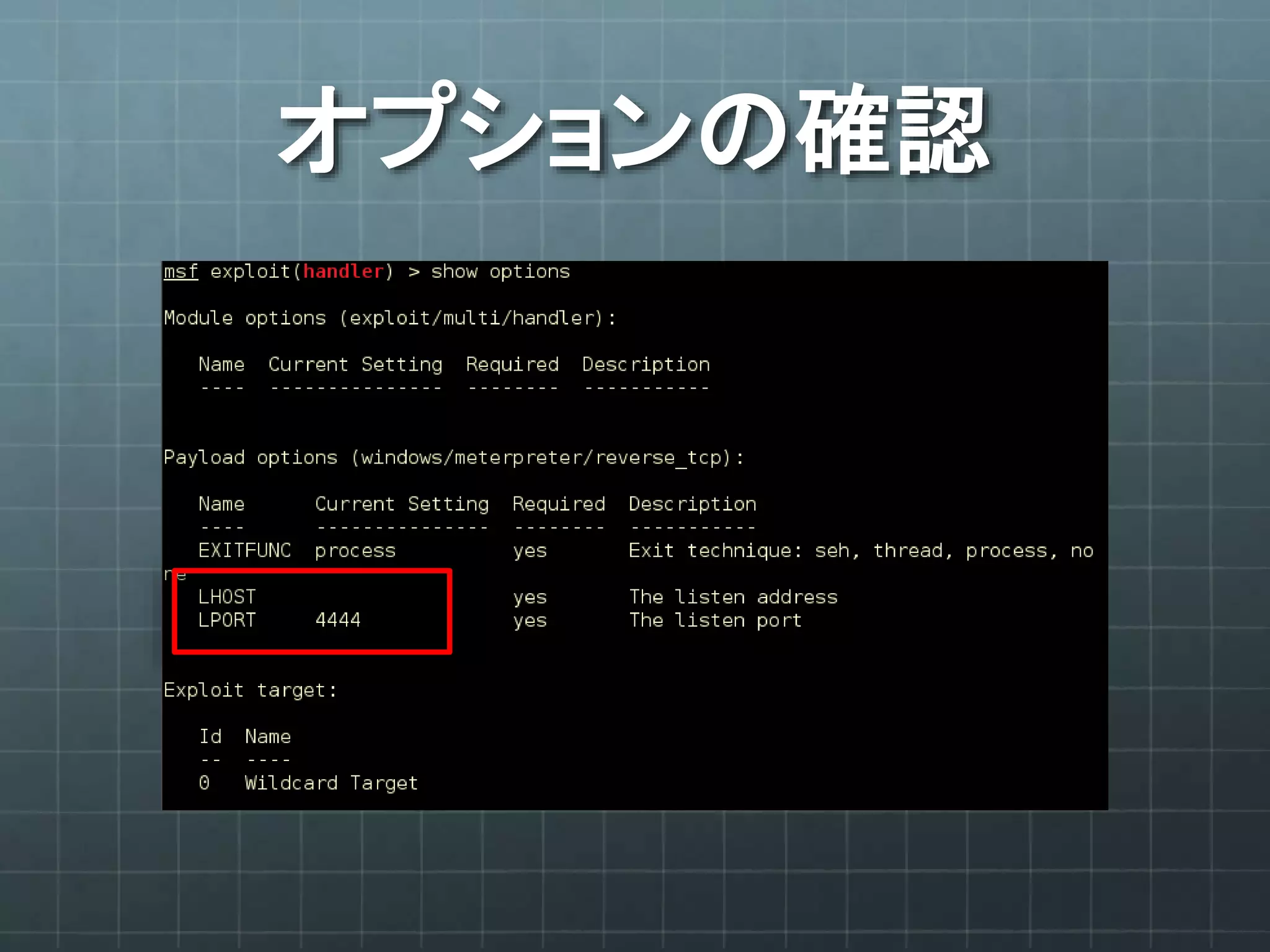オプションの確認
 