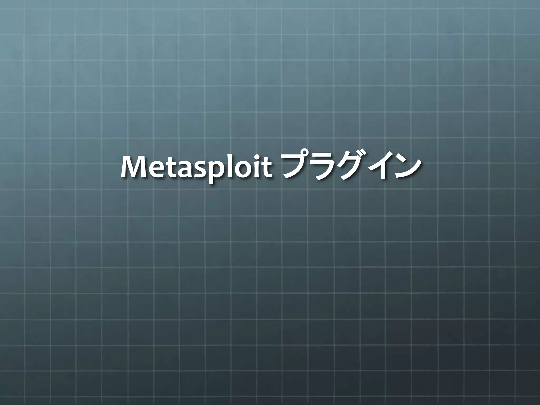 Metasploit プラグイン
 