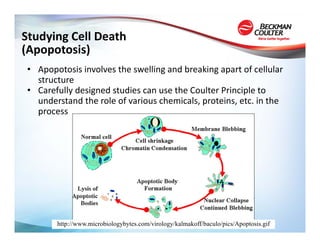 Studying Cell Death
(Apopotosis)
 • Apopotosis involves the swelling and breaking apart of cellular 
   structure
 • Carefully designed studies can use the Coulter Principle to 
   understand the role of various chemicals, proteins, etc. in the 
   process




        http://www.microbiologybytes.com/virology/kalmakoff/baculo/pics/Apoptosis.gif
 