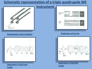 Ms fragmentation | PPT