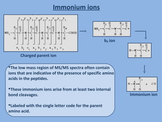 Ms fragmentation | PPT