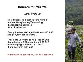 Migrant and Seasonal Farmworkers | PPT