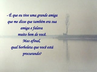 - É que eu tive uma grande amiga que me   disse que também era sua amiga e falava   muito bem de você. Mas afinal,   qual borboleta que você está procurando? 