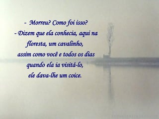 -  Morreu? Como foi isso? - Dizem que ela conhecia, aqui na floresta, um cavalinho,   assim como você e todos os dias quando   ela ia visitá-lo,   ele dava-lhe um coice.   