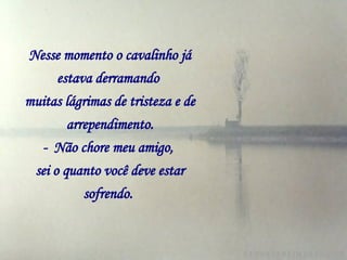 Nesse momento o cavalinho já estava derramando   muitas lágrimas de tristeza e de arrependimento. -  Não chore meu amigo,   sei o quanto você deve estar sofrendo.   