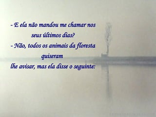 - E ela não mandou me chamar nos seus últimos dias? - Não, todos os animais da floresta quiseram   lhe avisar, mas ela disse o seguinte: 