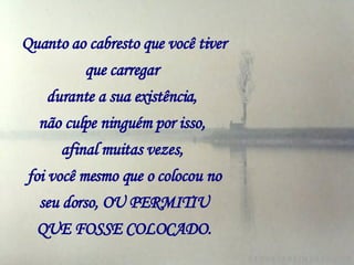 Quanto ao cabresto que você tiver que carregar   durante a sua existência,   não culpe ninguém por isso,   afinal muitas vezes,   foi você mesmo que o colocou no seu dorso, OU PERMITIU QUE FOSSE COLOCADO. 