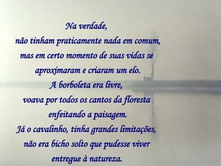 Na verdade,   não tinham praticamente nada em comum,   mas em certo momento de suas vidas se   aproximaram e criaram um elo. A borboleta era livre,   voava por todos os cantos da floresta   enfeitando a paisagem. Já o cavalinho, tinha grandes limitações,   não era bicho solto que pudesse viver   entregue à natureza.     