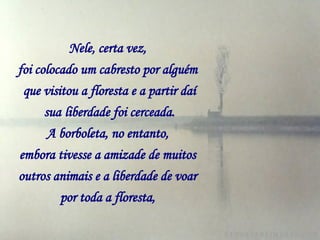 Nele, certa vez,   foi colocado um cabresto por alguém   que visitou a floresta e a partir daí sua   liberdade foi cerceada. A borboleta, no entanto,   embora tivesse a amizade de muitos   outros animais e a liberdade de voar   por toda a floresta,   