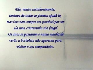 Ela, muito carinhosamente,   tentava de todas as formas ajudá-lo,   mas isso nem sempre era possível por ser   ela uma criaturinha tão frágil. Os anos se passaram e numa manhã de verão   a borboleta não apareceu para   visitar o seu companheiro.   