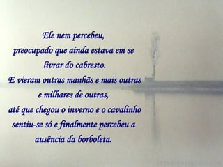 Ele nem percebeu,   preocupado que ainda estava em se   livrar do cabresto. E vieram outras manhãs e mais outras   e milhares de outras,   até que chegou o inverno e o cavalinho   sentiu-se só e finalmente percebeu a   ausência da borboleta.   