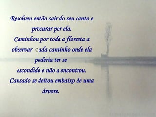 Resolveu então sair do seu canto e procurar por ela. Caminhou por toda a floresta a observar   c ada cantinho onde ela poderia ter se   escondido e não a encontrou. Cansado se deitou embaixo de uma árvore.   